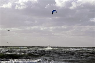 World Surfing Championships, Westerland, North Frisia, Sylt, Schleswig Holstein, A kitesurfer