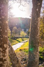 View through trees along a river with sunbeams breaking through, spring, Calw, Black Forest,