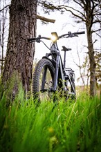 A mountain bike leaning against a tree in the golden evening light, spring, e-bike forest bike,