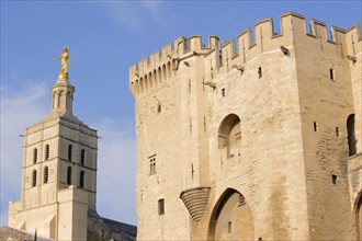 Papal Palace and Notre-Dame des Doms Cathedral, Avignon, Vaucluse, Provence-Alpes-Cote d'Azur,