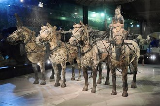 Terracotta horse and cart, Qin Shihuangdi's mausoleum, exhibition hall, high chariot, Xian,