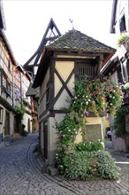 Eguisheim, Alsace, France, Europe, A historic half-timbered house on a street corner with lush