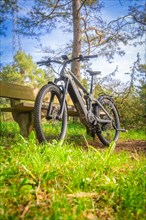 A mountain bike standing in the forest on grass with sunbeams in the background, spring, e-bike