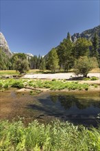 Merced River in the Yosemite Valley, Yosemite National Park, California, United States, USA,