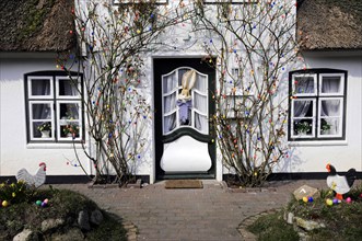 House entrance, Keitum, Sylt, North Frisian Island, Easter decoration with colourful eggs on bushes