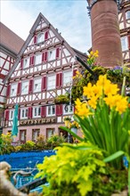 View of an old half-timbered house with a fountain and spring flowers in the foreground, spring,