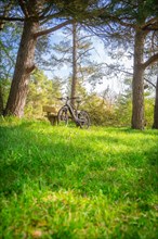 A bicycle stands in the park between spring-like green grass, spring, E- Bike Waldbike, Gechingen,