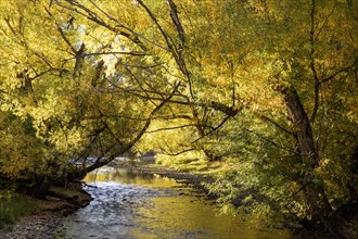 Wheat Ridge, Colorado, Clear Creek in autumn, flowing from the Rocky Mountains towards the South
