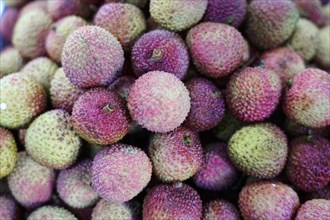 Shanghai, China, Asia, Close-up of lychees with detailed texture on a market stack, People's