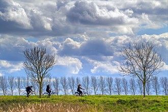 Three cyclists cycling on their bikes under a cloudy sky with cumulus mediocris clouds in early