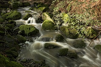 Mountain stream in the forest with mossy basalt rocks, blocks of basalt in the stream bed, Tertiary