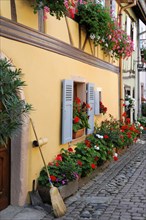 Eguisheim, Alsace, France, Europe, A window with closed shutters and a row of red flowers in front