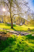 A sunny spring day in the park with green meadows and a path, Spring, Calw, Black Forest, Germany,