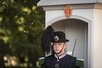 Soldier, Royal Guard, Royal Palace, Oslo, Norway, Europe