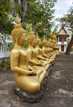 Row of gilded Buddha statues, Wat That Luang, Luang Prabang, Laos, Asia