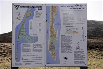 Sylt, North Frisian Island, Schleswig-Holstein, Information boards of a nature reserve with maps