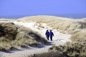 Sylt, North Frisian Island, Schleswig-Holstein, Two people in blue jackets walking along a path