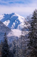 Snowy mountain landscape with fir forests and cloudy sky above, Bad Reichenhall, Bavaria, Germany,
