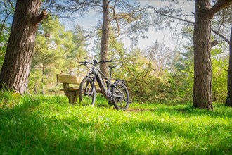 Bicycle parked next to a bench under trees in a sunny park, spring, e-bike forest bike, Gechingen,