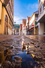Street view of a European village with traditional half-timbered houses and a puddle reflecting the