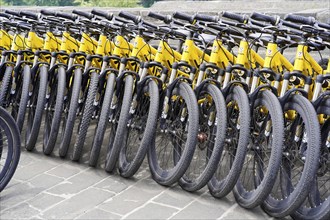 Xian, Shaanxi, China, Asia, Many yellow bicycles parked in a row on a city pavement, Asia