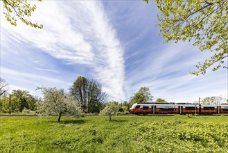 Siemens Desiro ML local train, Vorarlberg OeBB local transport fleet travelling in the border