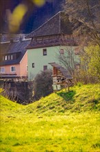 Rural scenery with a house and beehives in a meadow, spring, Calw, Black Forest, Germany, Europe