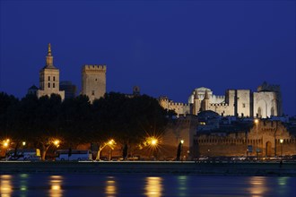 Papal Palace and Notre-Dame des Doms Cathedral at night, Avignon, Vaucluse, Provence-Alpes-Cote