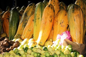 AUGUSTO C. SANDINO Airport, Managua, Ripe papayas among other exotic fruits on display at a market,