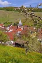 Struempfelbach, Weinstadt, Rems Murr Kreis, Baden- Wuerttemberg, Germany, Struempfelbach,