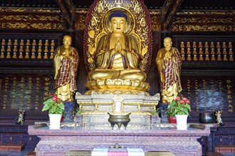 Chongqing, Chongqing Province, China, Asia, Symmetrical arrangement of golden Buddha statues inside