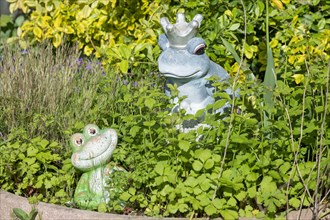 Garden decoration, frogs, frog king, Baden-Wuerttemberg, Germany, Europe