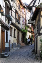 Eguisheim, Alsace, France, Europe, A winding alley with half-timbered houses, cobblestones and