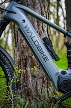 An e-bike leaning against a tree, focus on the frame and brand name, spring, e-bike forest bike,