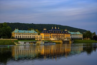 The historic side-wheel steamer KRIPPEN passes Pillnitz Palace in the glow of the setting evening