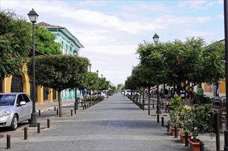 Granada, Nicaragua, A quiet street lined with colourful houses and trees under a clear blue sky,