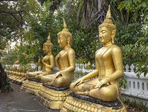 Row of gilded Buddha statues, Wat That Luang, Luang Prabang, Laos, Asia