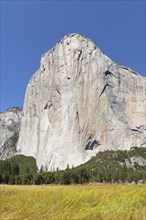 El Capitan, Vosemity Valley, Yosemite National Park, California, United States, USA, Yosemite