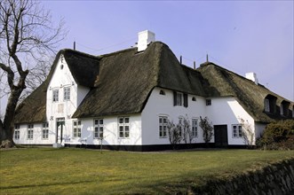 House, Keitum, Sylt, North Frisian Island, Traditional whitewashed thatched houses on a sunny day
