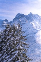 Majestic winter mountain scenery with snow-covered fir trees and blue sky, Bad Reichenhall,