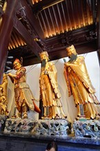 Jade Buddha Temple, Buddha, Puxi, Shanghai, Shanghai Shi, China, Three golden statues in a Buddhist