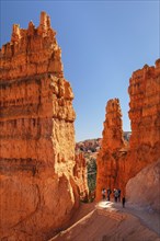 Hikers on the Queen's Garden Trail, Bryce Canyon National Park, Colorado Plateau, Utah, United