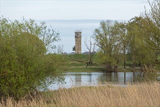Former watchtower of the GDR, watchtower, trees, reeds, water, Elbe, Elbtalaue near Bleckede, Lower