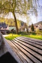 A wooden bench under a willow tree with a view of a quiet village in spring, Spring, Calw, Black
