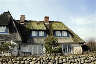 Sylt, North Frisian Island, Schleswig Holstein, An idyllic thatched house behind a low stone fence,