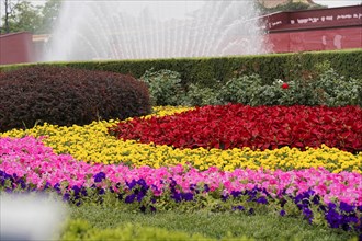 China, Beijing, Forbidden City, UNESCO World Heritage Site, Colourful flower beds in front of a