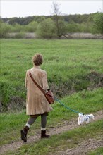 Woman walking Bolonka Zwetna dog, Elbtalaue near Bleckede, Lower Saxony, Germany, Europe