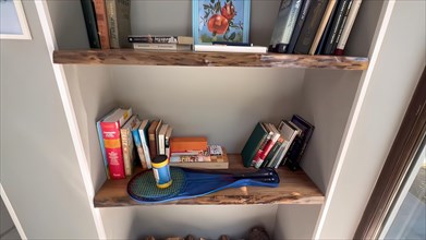 Bookshelf with books and cleaning equipment in a home library