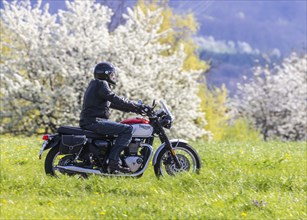 A motorbike rides through blossoming spring meadows, motorbike noise, Bissingen an der Teck,