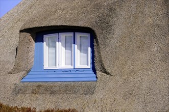 Hoernum, Sylt, North Frisian Island, detailed view of a thatched roof house with blue shutters,